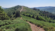 Cazebonne_26_05-82