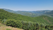 Cazebonne_26_05-83