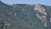 Cazebonne_26_05-88