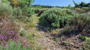 Cazebonne_26_05-9