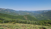 Cazebonne_26_05-91