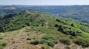 Cazebonne_26_05-94