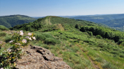 Cazebonne_26_05-98