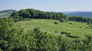 Cazebonne_26_05-99