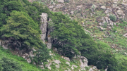 Dourbies_26_06-101