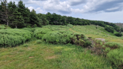Dourbies_26_06-104