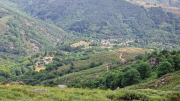 Dourbies_26_06-105