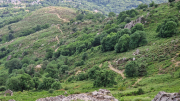Dourbies_26_06-108