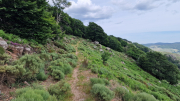 Dourbies_26_06-109