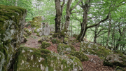 Dourbies_26_06-110