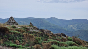 Dourbies_26_06-112