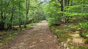 Dourbies_26_06-113