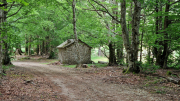 Dourbies_26_06-114