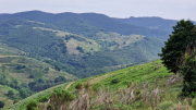 Dourbies_26_06-118