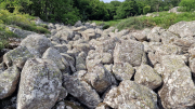 Dourbies_26_06-119