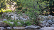 Dourbies_26_06-13