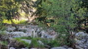 Dourbies_26_06-14