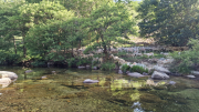 Dourbies_26_06-15