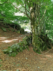 Dourbies_26_06-19