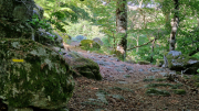 Dourbies_26_06-20