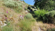 Dourbies_26_06-21