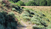 Dourbies_26_06-23