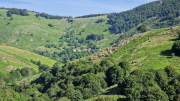 Dourbies_26_06-28