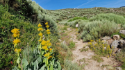 Dourbies_26_06-31