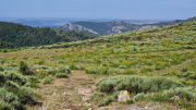 Dourbies_26_06-35