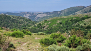 Dourbies_26_06-38