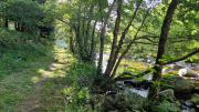 Dourbies_26_06-4