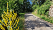 Dourbies_26_06-50