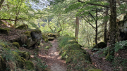 Dourbies_26_06-52