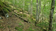 Dourbies_26_06-58