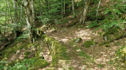 Dourbies_26_06-59