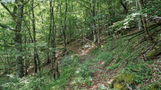 Dourbies_26_06-60