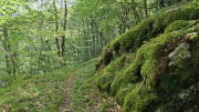 Dourbies_26_06-61