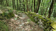 Dourbies_26_06-67