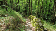 Dourbies_26_06-68