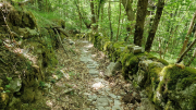 Dourbies_26_06-69