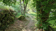 Dourbies_26_06-7