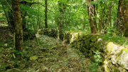 Dourbies_26_06-70