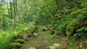 Dourbies_26_06-73