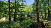 Dourbies_26_06-74