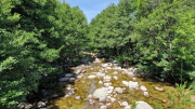 Dourbies_26_06-77