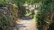 Dourbies_26_06-78