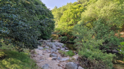 Dourbies_26_06-8