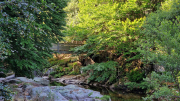 Dourbies_26_06-9