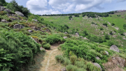 Dourbies_26_06-97
