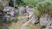 Dourbies_26_06-98